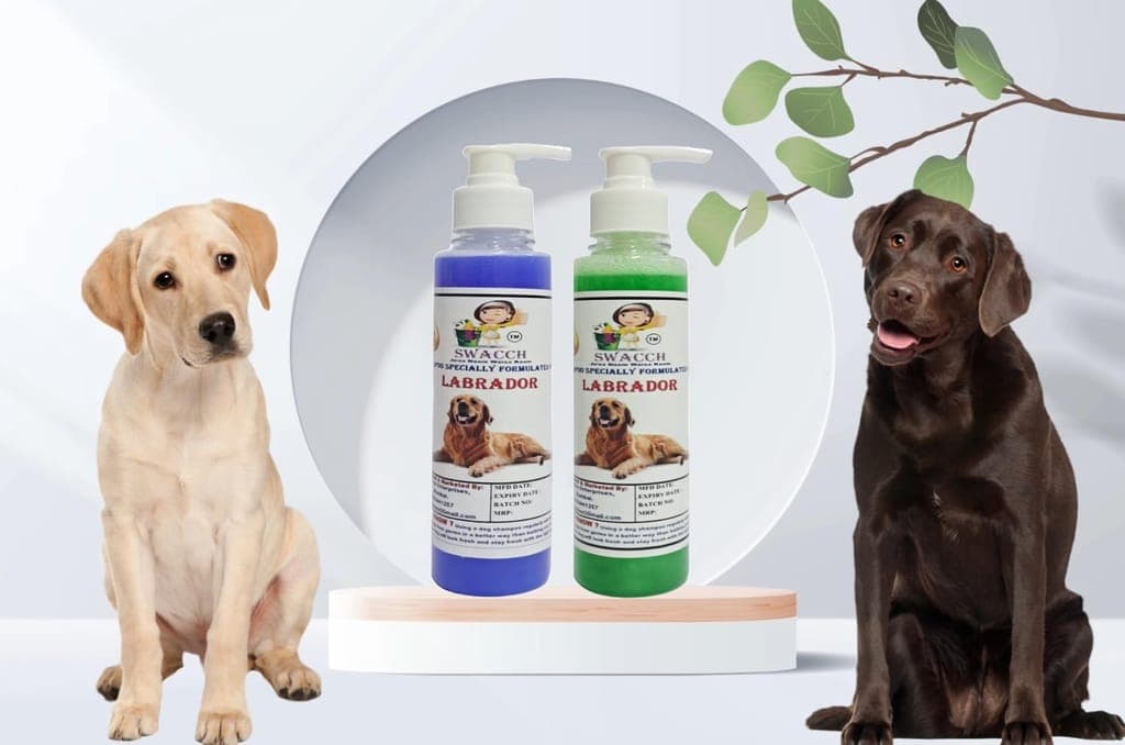 swacch-premium-shampoo-for-labrador-(200ml)-(pack-of-2)-lavender-&-neem-alovera1