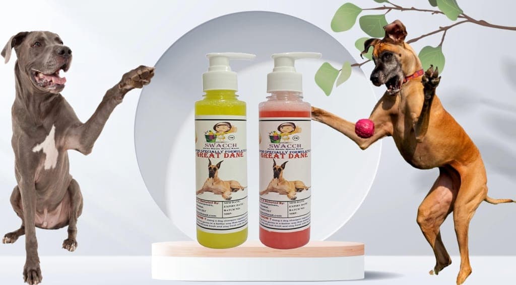 swacch-premium-shampoo-for-great-dane-(200ml)(combo-pack-of-2)-lemon-&-jasmine1