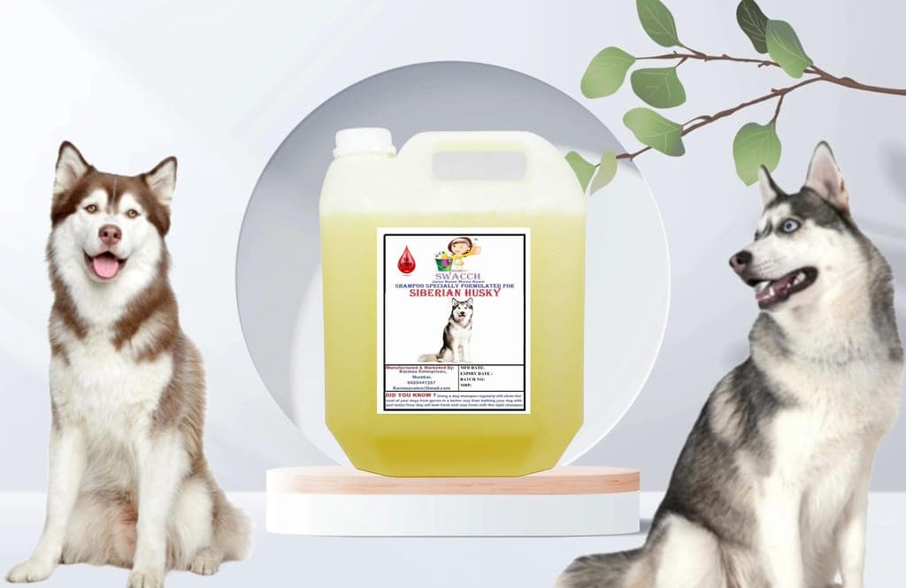 swacch-shampoo-specially-formulated-for-siberian-husky-(10-litre)-lemon1