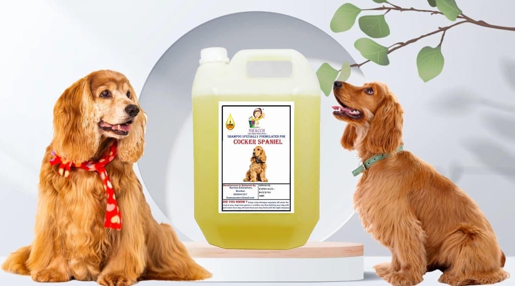 swacch-shampoo-specially-formulated-for-cocker-spaniel-(5-litre)-lemon1