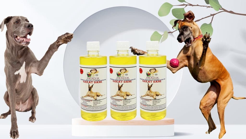 swacch-shampoo-specially-formulated-for-great-dane-(500ml)-(pack-of-3)-lemon1