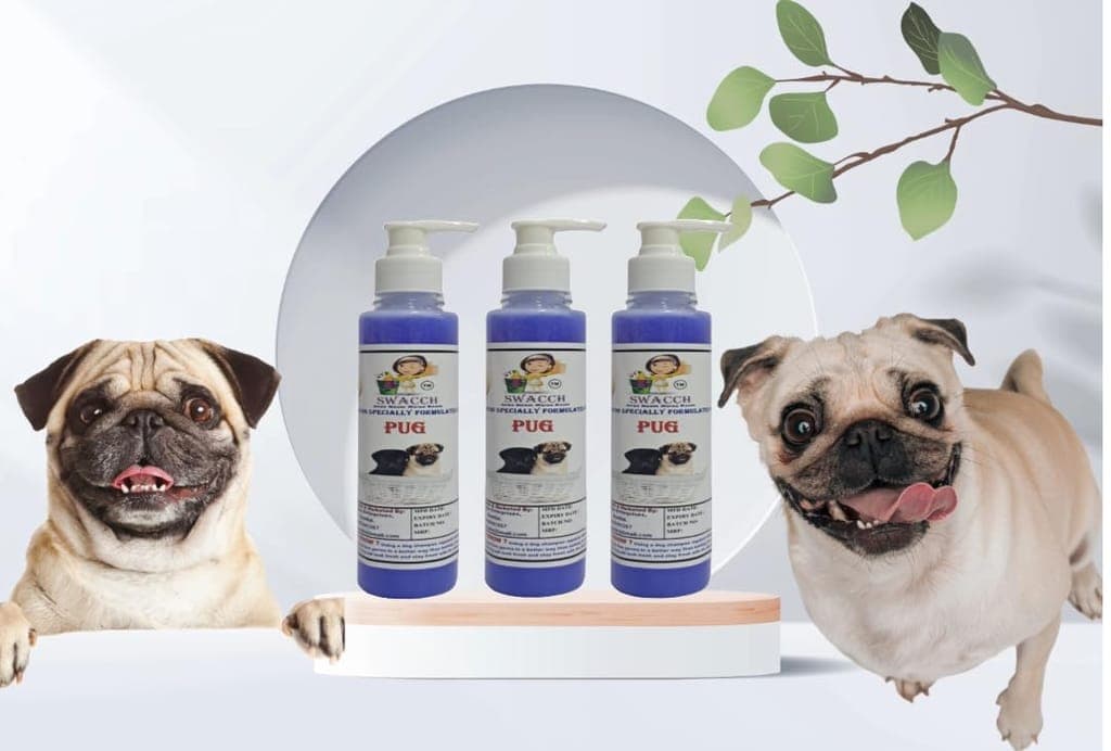 swacch-premium-shampoo-for-pug-(200ml)-(pack-of-3)-lavender1