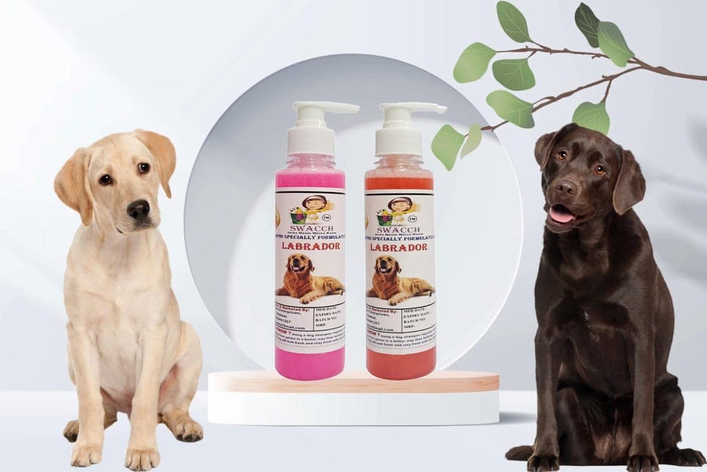 swacch-premium-shampoo-for-labrador-(200ml)-(combo-pack-of-2)-rose-&-strawberry1