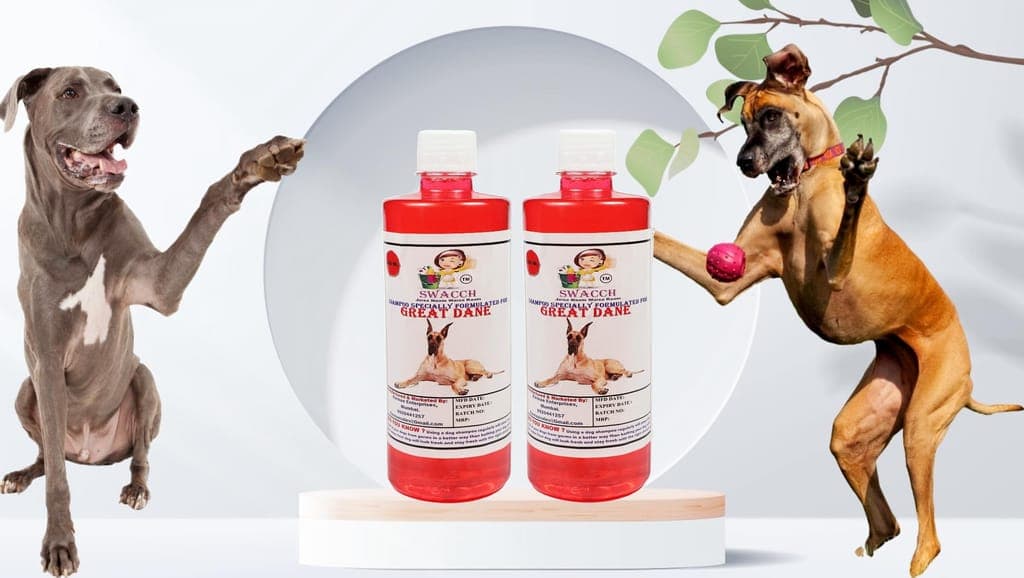 swacch-shampoo-specially-formulated-for-great-dane-(500ml)-(pack-of-2)-strawberry1