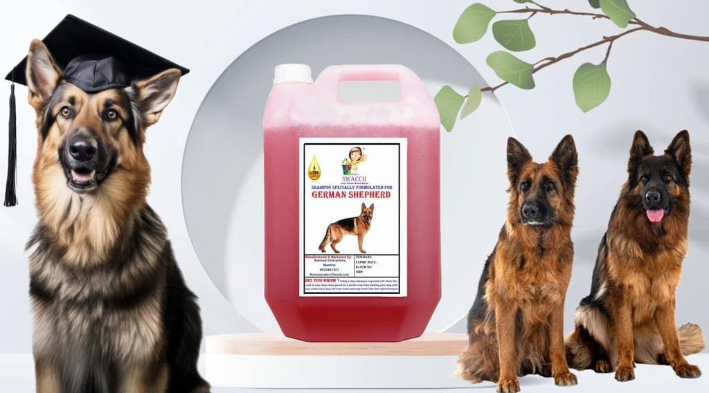 swacch-shampoo-specially-formulated-for-german-shepherd-(5-litre)-jasmine1