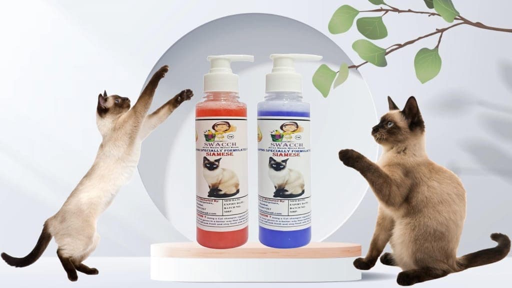 swacch-premium-shampoo-for-siamese-cat-(200ml)-(combo-pack-of-2)-jasmine-&-lavender1