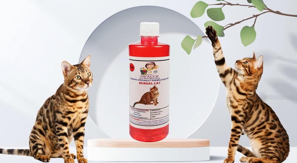swacch-shampoo-specially-formulated-for-bengal-cat-(500ml)-strawberry1