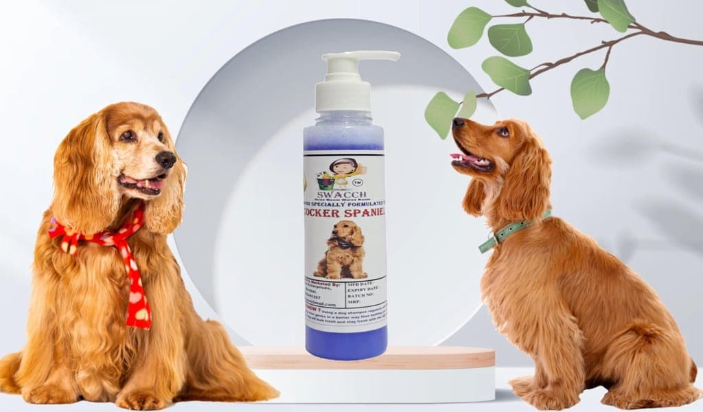 swacch-premium-shampoo-for-cocker-spaniel-(200ml)-lavender1