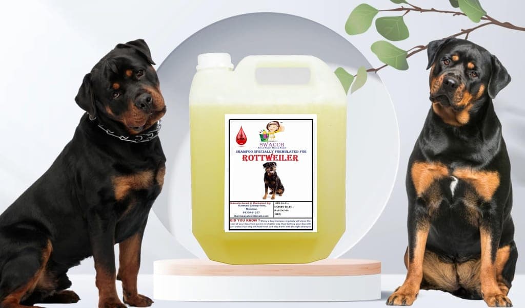 swacch-shampoo-specially-formulated-for-rottweiler-(10-litre)-lemon1