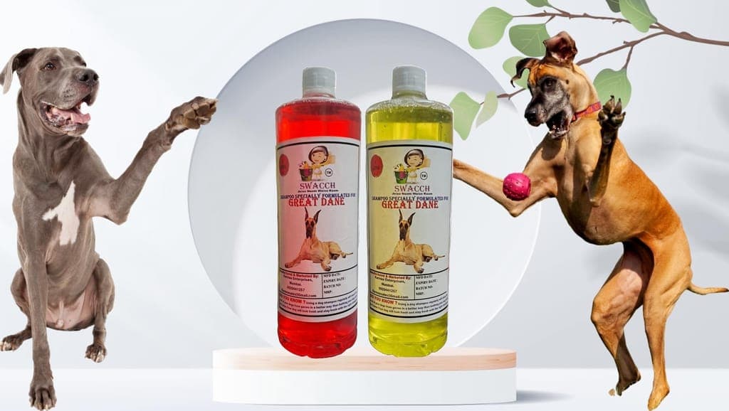 swacch-shampoo-specially-formulated-for-great-dane-(1-litre)-(combo-pack-of-2)-strawberry-&-lemon1