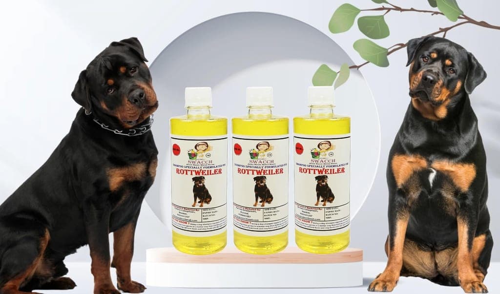 swacch-shampoo-specially-formulated-for-rottweiler-(500ml)-(combo-pack-of-3)-lemon1