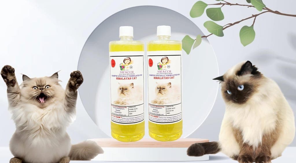 swacch-shampoo-specially-formulated-for-himalayan-cat-(1-litre)-(pack-of-2)-lemon1