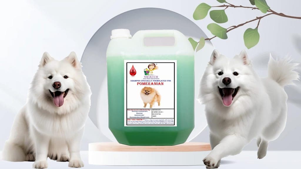 swacch-shampoo-specially-formulated-for-pomeranian-(10-litre)-neem-alovera1