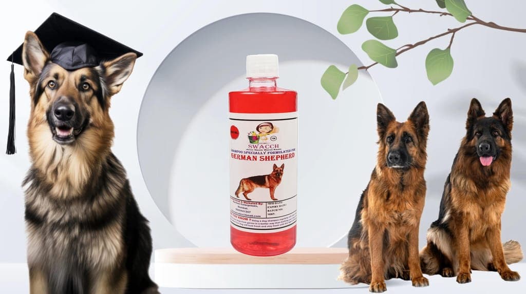swacch-shampoo-specially-formulated-for-german-shepherd-(500ml)-strawberry1