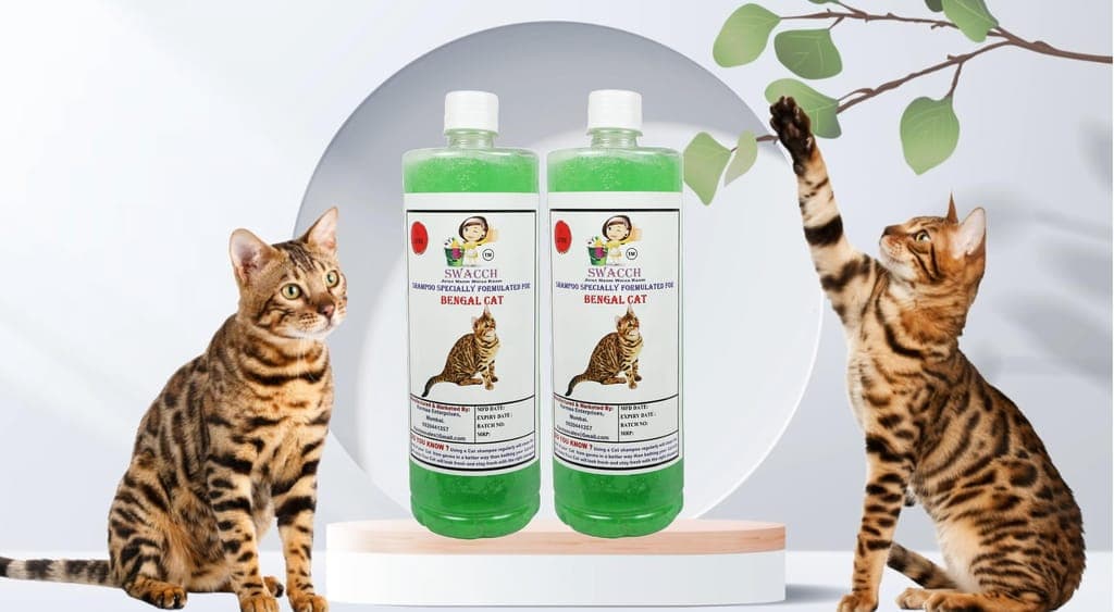 swacch-shampoo-specially-formulated-for-bengal-cat-(1-litre)-(combo-pack-of-2)-neem-alovera1