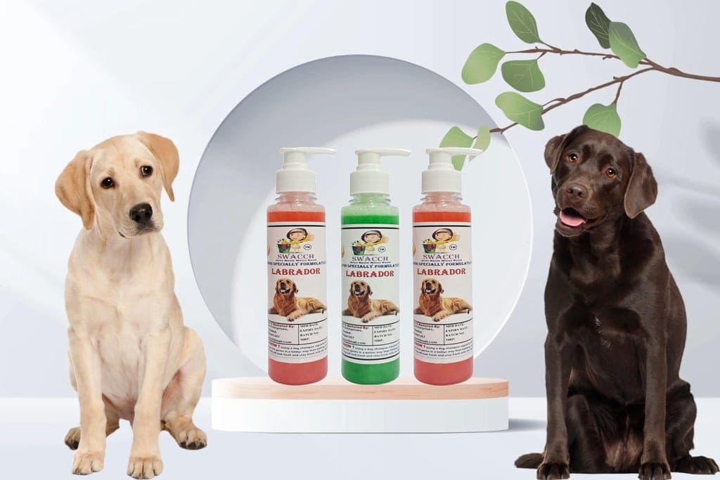 swacch-premium-shampoo-for-labrador-(200ml)-(combo-pack-of-3)-jasmine,-neem-alovera-&-strawberry1