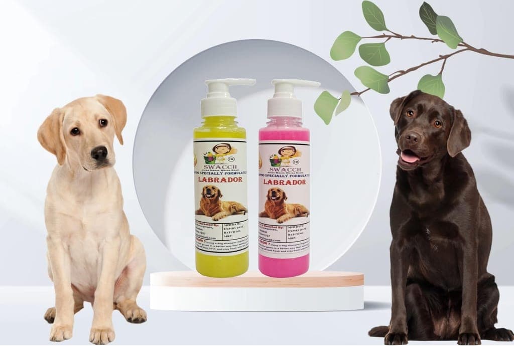 swacch-premium-shampoo-for-labrador-(200ml)-(combo-pack-of-2)-lemon-&-rose1