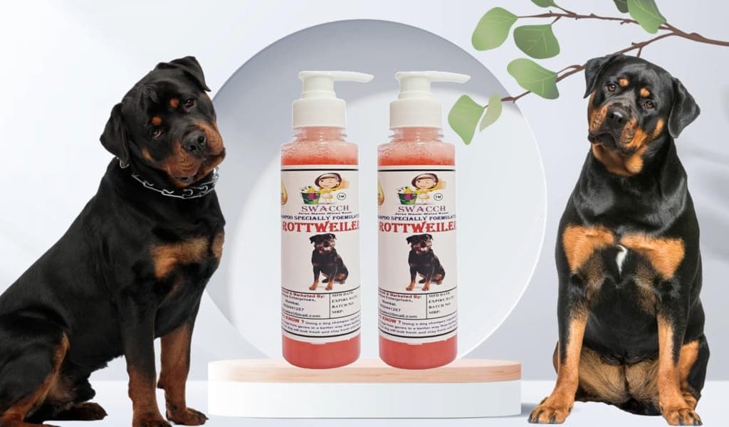 swacch-premium-shampoo-for-rottweiler-(200ml)-(pack-of-2)-strawberry1