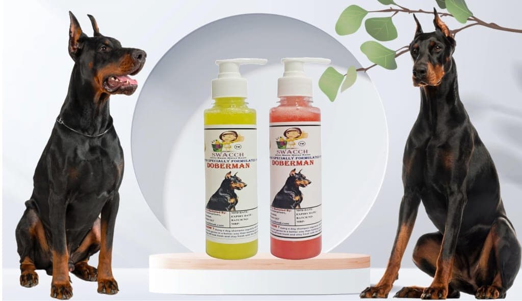 swacch-premium-shampoo-for-doberman-(200ml)-(combo-pack-of-2)-lemon-&-jasmine1