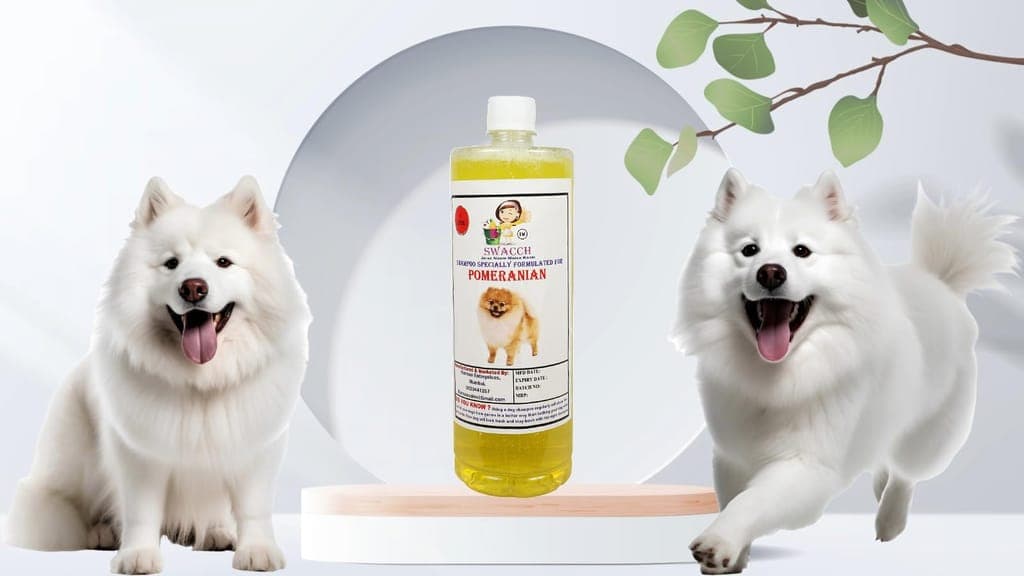 swacch-shampoo-specially-formulated-for-pomeranian-(1-litre)-lemon1