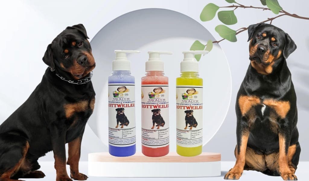 swacch-premium-shampoo-for-rottweiler-(200ml)-(combo-pack-of-3)-lavender,-jasmine-&-lemon1