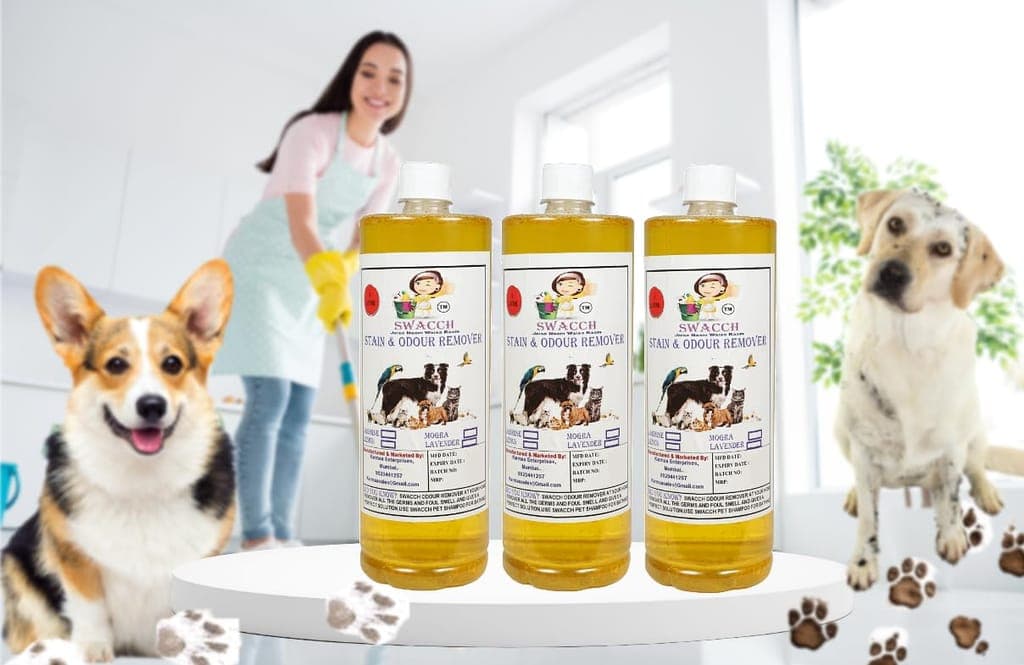 swacch-stain-&-odour-remover-(1-litre)-(pack-of-3)-lemon1