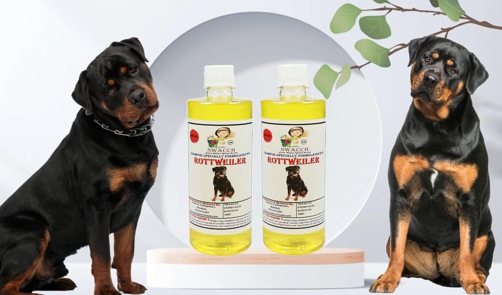 swacch-shampoo-specially-formulated-for-rottweiler-(500ml)-(combo-pack-of-2)-lemon1
