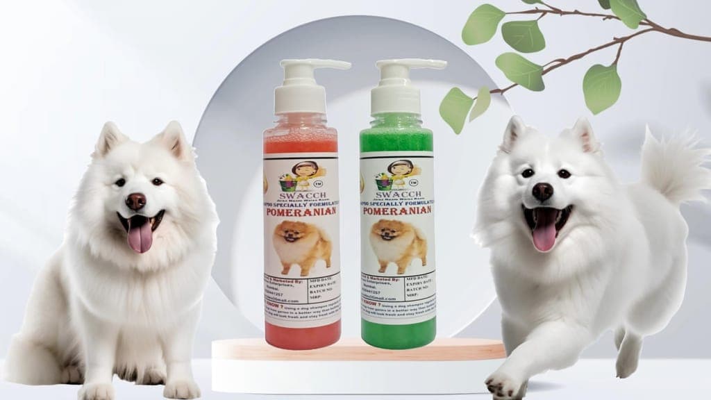 swacch-premium-shampoo-for-pomeranian-(200ml)-(combo-pack-of-2)-jasmine-&-neem-alovera1