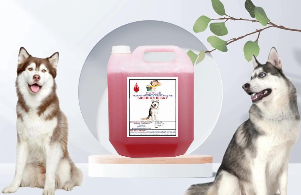 swacch-shampoo-specially-formulated-for-siberian-husky-(10-litre)-jasmine1