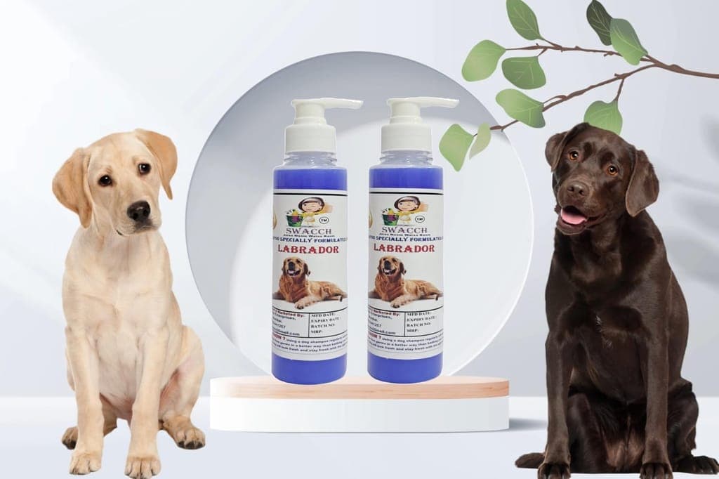 swacch-premium-shampoo-for-labrador-(200ml)-(pack-of-2)-lavender1