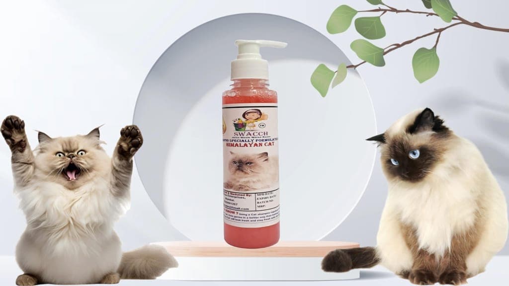swacch-premium-shampoo-for-himalayan-cat-(200ml)-jasmine1