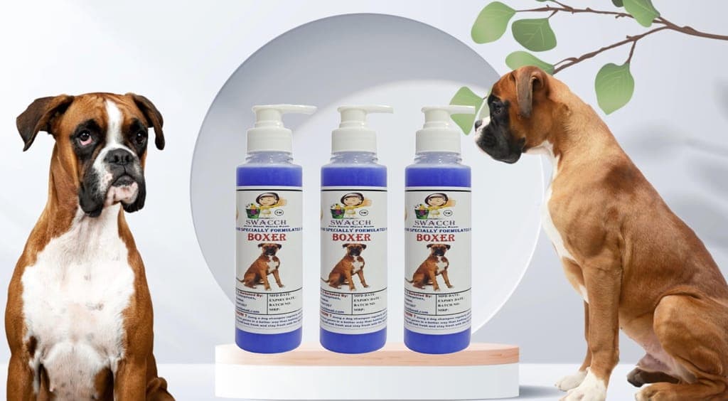swacch-premium-shampoo-for-boxer-(200ml)-(pack-of-3)-lavender1