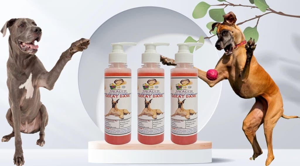 swacch-premium-shampoo-for-great-dane-(200ml)-(pack-of-3)-jasmine1