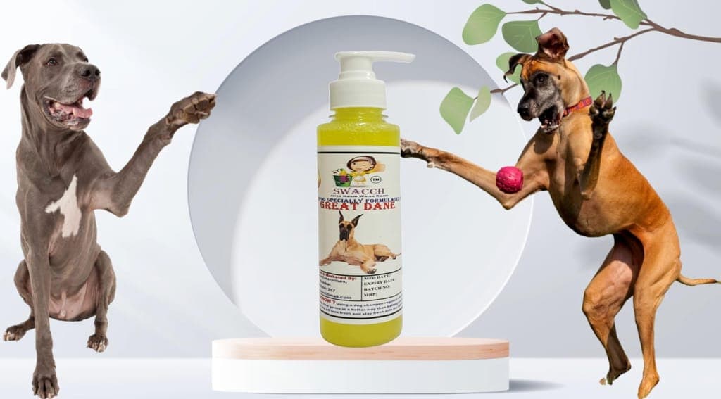 swacch-premium-shampoo-for-great-dane-(200ml)-lemon1