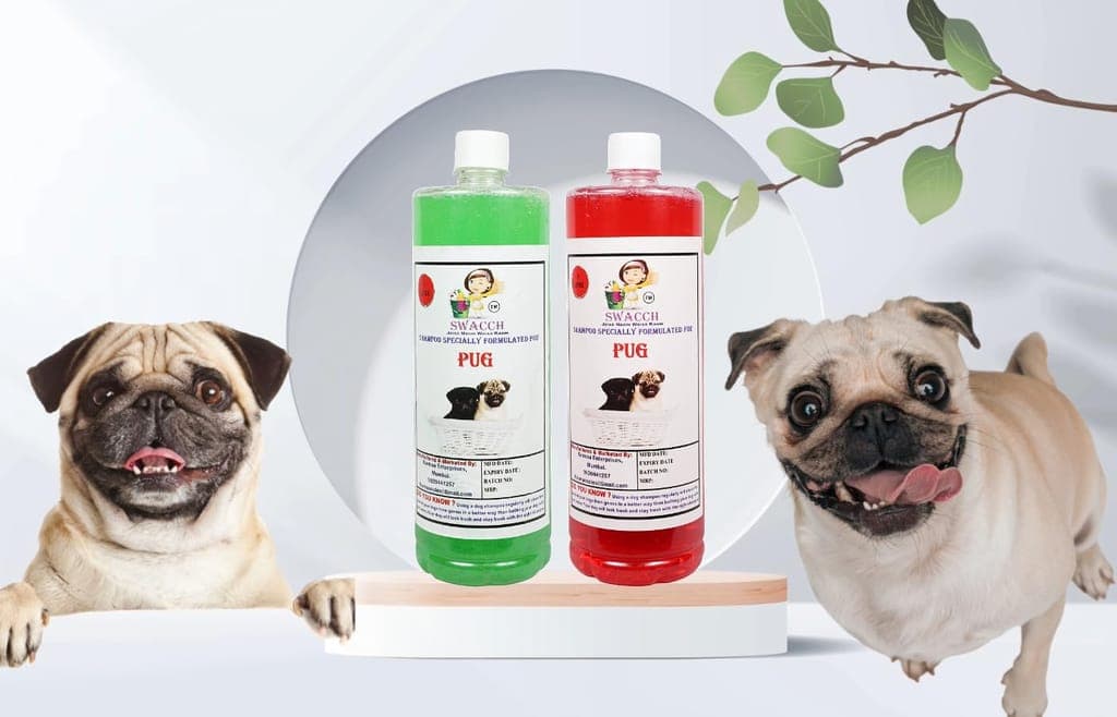 swacch-shampoo-specially-formulated-for-pug-(1-litre)-(combo-pack-of-2)-neem-alovera-&-jasmine1