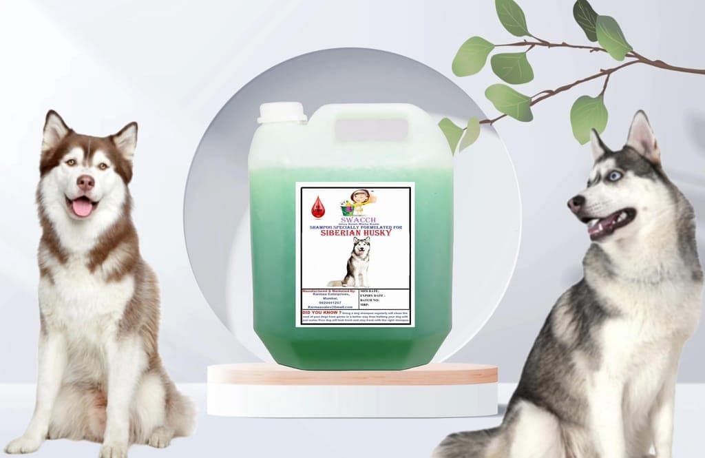 swacch-shampoo-specially-formulated-for-siberian-husky-(10-litre)-neem-alovera1