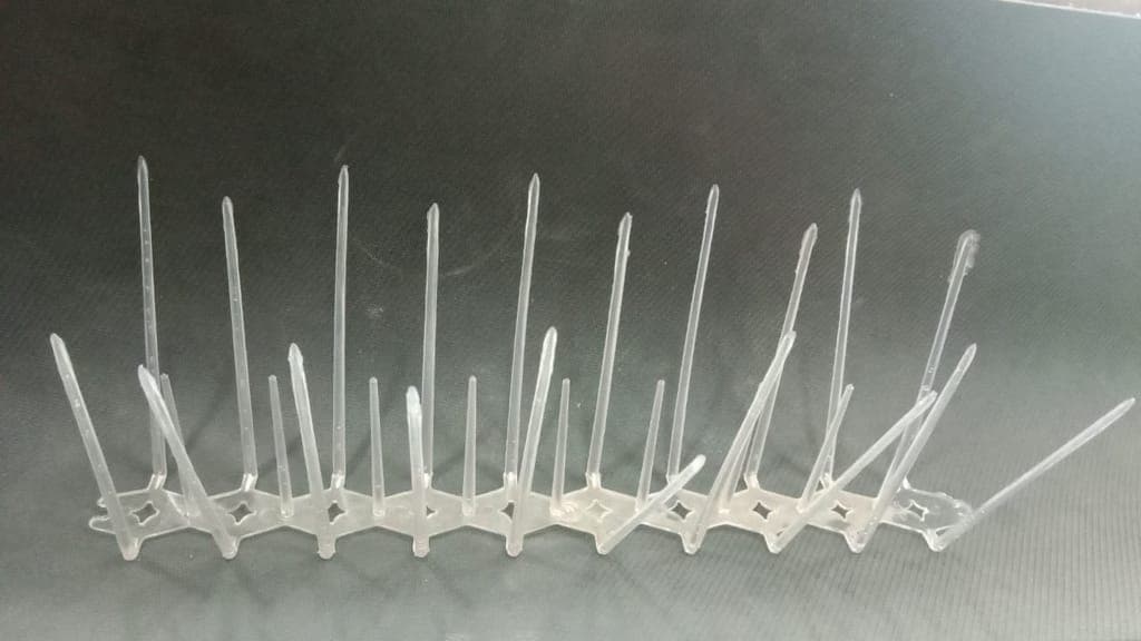 bird-spikes--pack-of-12-pieces1