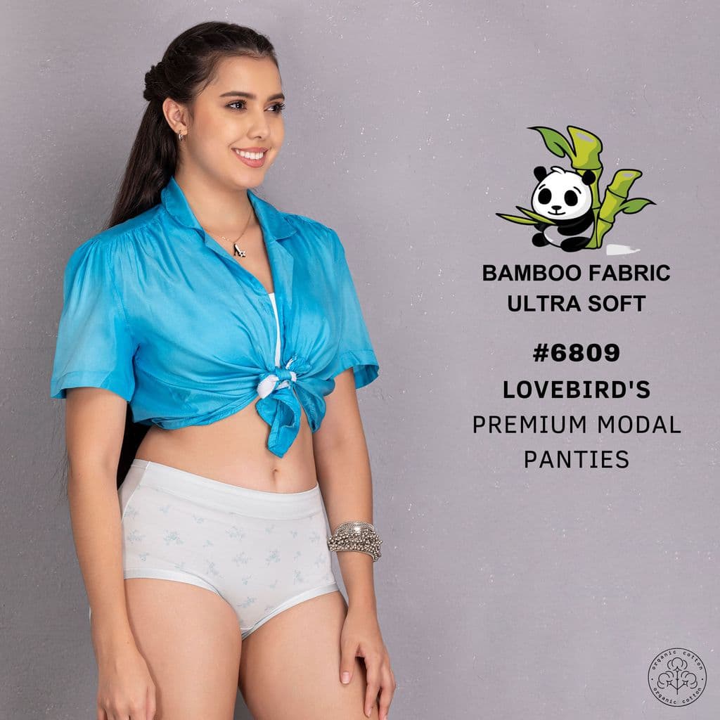 p6089-cotton-modal-soft-panty1