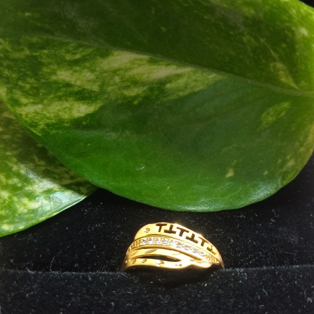 trendy-gold-plated-alloy-ring-for-women-with-elegant-zircon-design-–-adjustable-&-fashion-forward1
