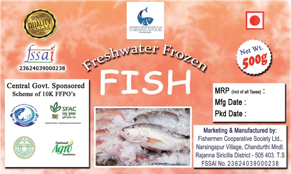 frozen-fish1