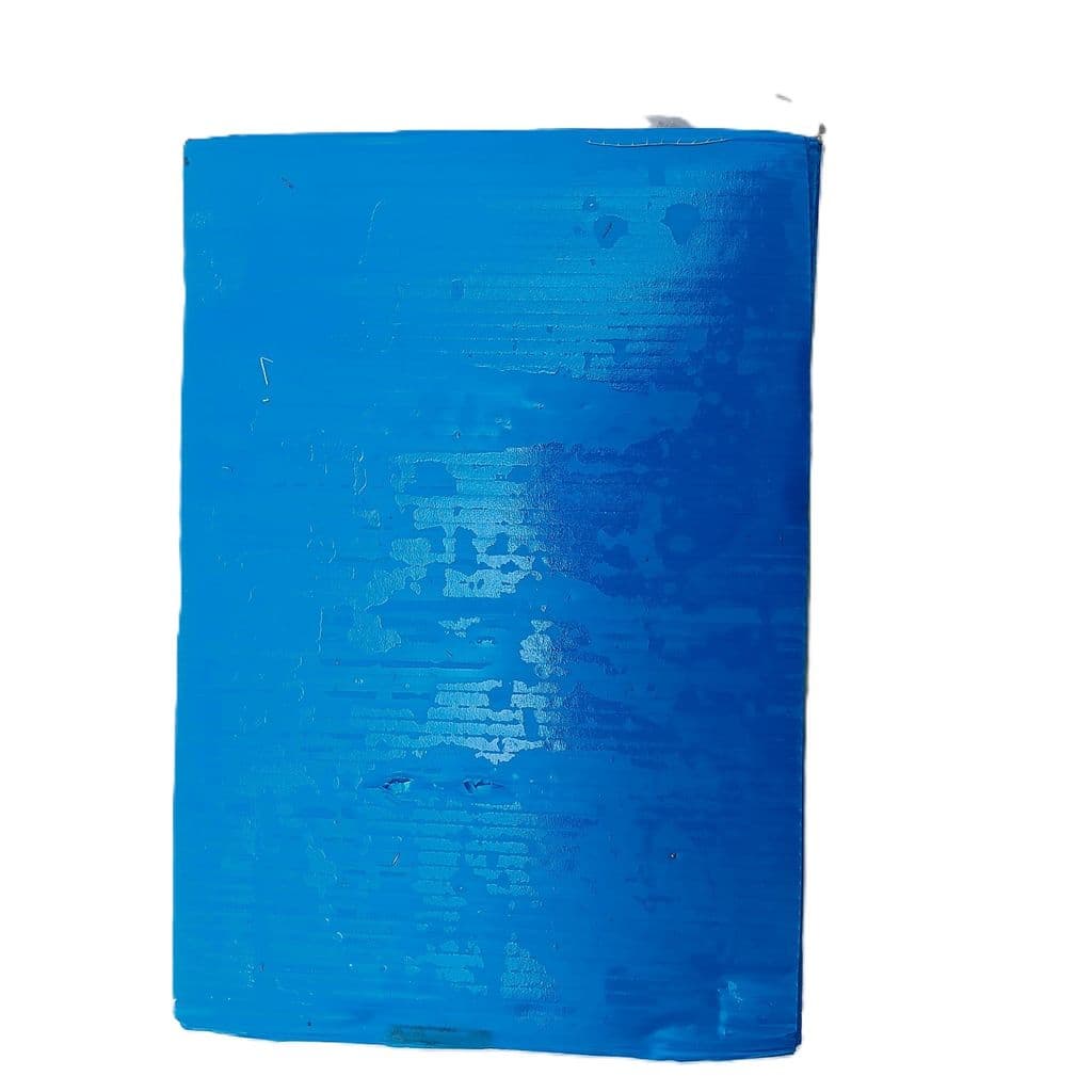 blue-sticky-trap1