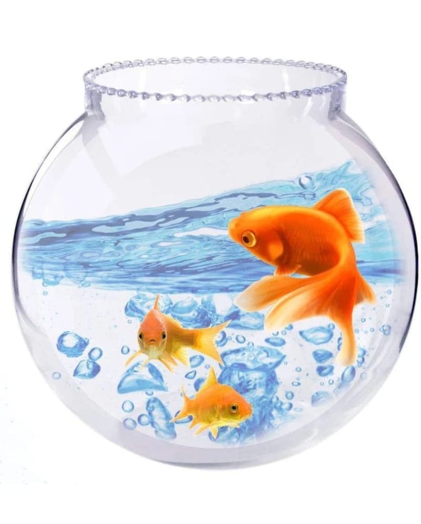 --aquarium-freshwater-fish-glass1