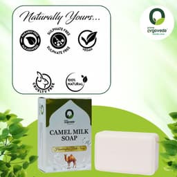 Product 4