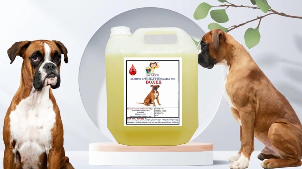swacch-shampoo-specially-formulated-for-boxer-(10-litre)-lemon1