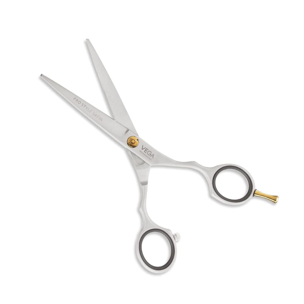vega-professional-pro-style-satin-5"-silver-line-hairdressing-scissor(vpmsc-09)1