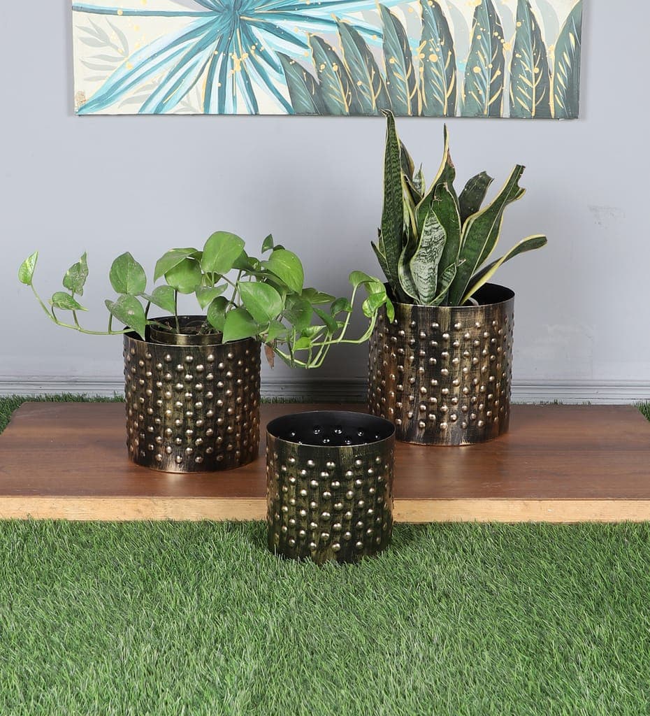 black-&-gold-dot-hammred-planter-set-of-31